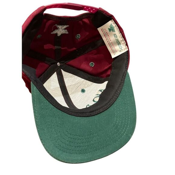 Vintage 80's 90's Grunge Surf Skate Ski Snowboard No Problem Snap Back Cap - Picture 7 of 8